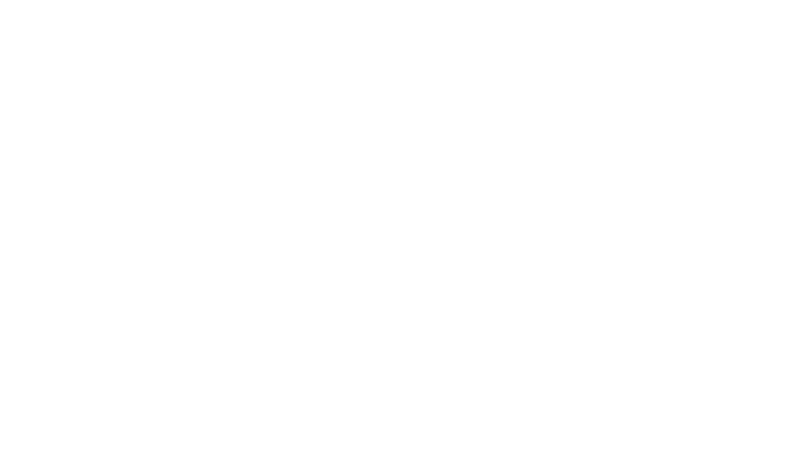 War to Peace® logo showing an olive branch extending from War to Peace.