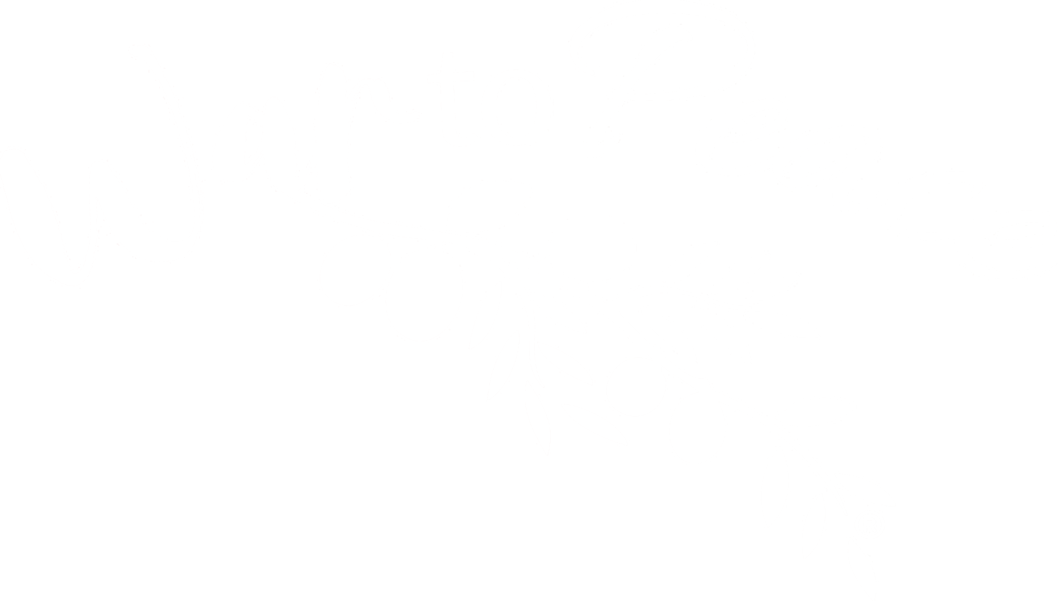 War to Peace® logo showing an olive branch extending from War to Peace.