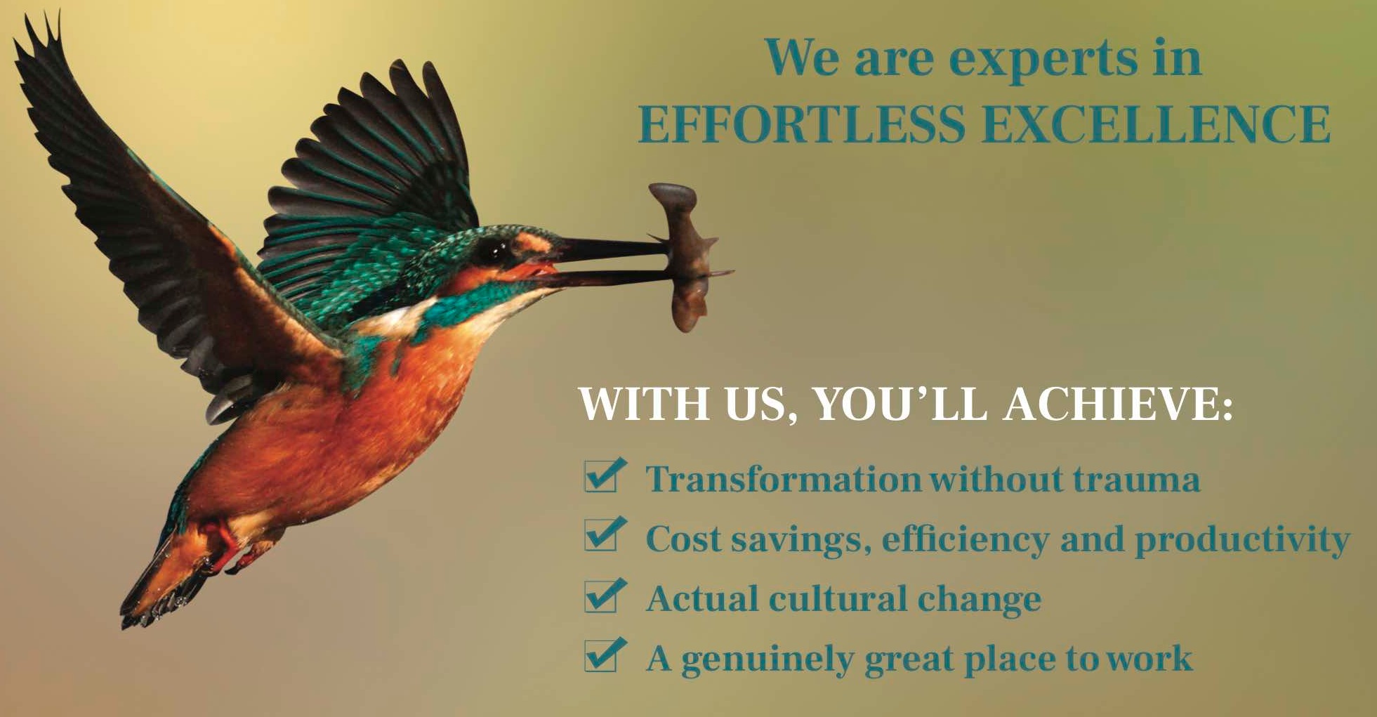 An advert for Effortless Excellence, Transformation without trauma, showing a kingfisher bird effortlessly catching its prey.